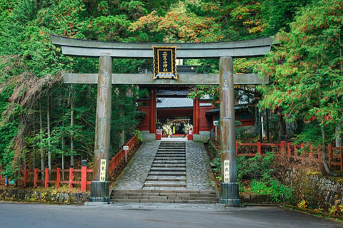 Tokio: Nikko – Private &amp; anpassbare Sightseeing-Tagestour