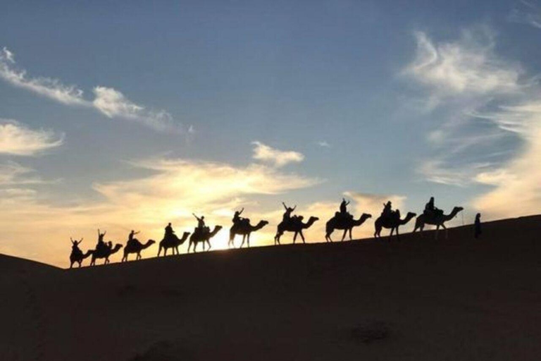 Marraquexe: Agafay Desert Quad &amp; Camel Rides with Dinner Show