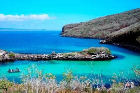 Santa Cruz: 4-Day Snorkel, Tintoreras, Pinzón & Fishing