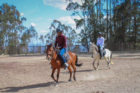 Addis Abeba Entoto Mtn: Reiten, Paintball und ZiplineEntoto Mtn: Reiten, Paintball und Zipline-Hochseilgarten