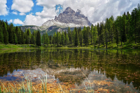 De Veneza: Viagem de 1 dia às Dolomitas