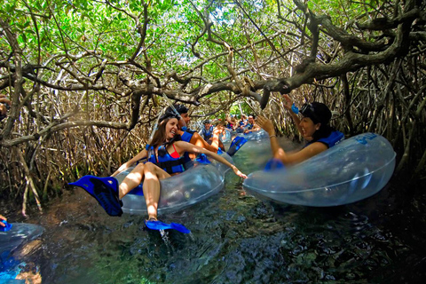 Inträde till Xel-Ha-parken med mat och fri bar ingårInträde till Xel-Ha-parken