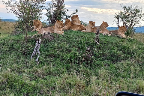 Olifantentocht: 3-daagse kampeerervaring in AmboseliElephant Trail: driedaagse Amboseli-kampeerervaring