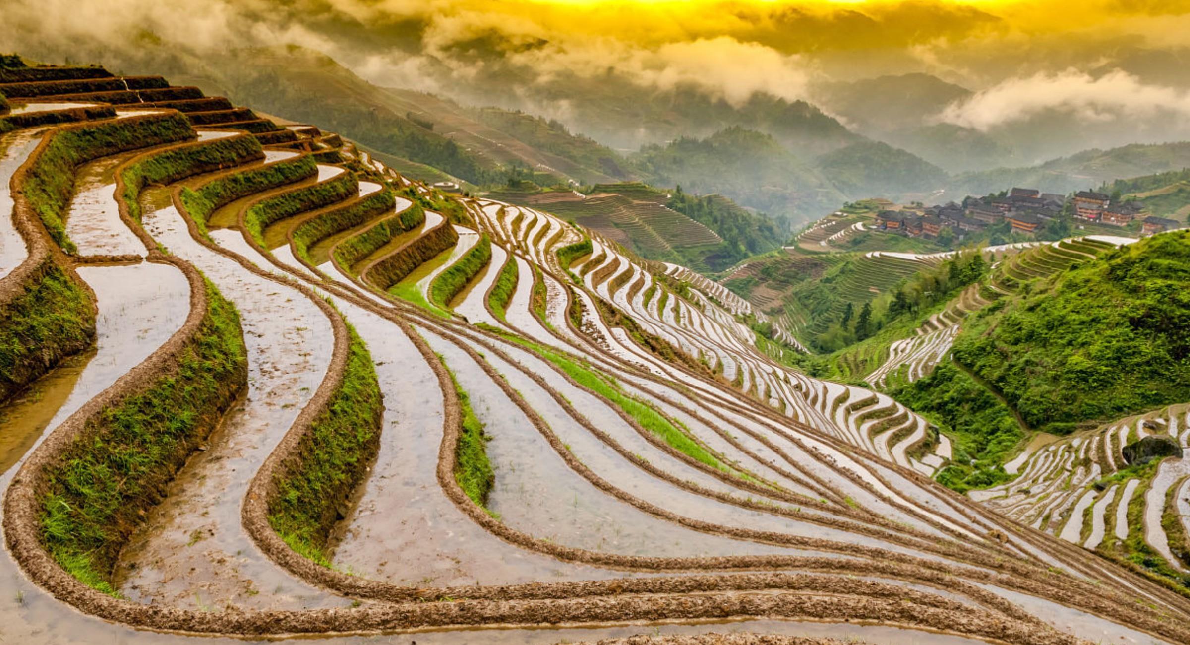 Ab Guilin: 4-tägige Tour zu den Longji-Reisterrassen und zum Maoershan