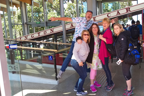 Wellington: City Highlights Guided Tour with Cable Car Ride