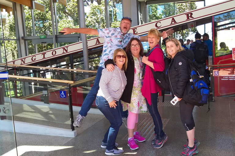 Wellington: City Highlights Guided Tour with Cable Car Ride