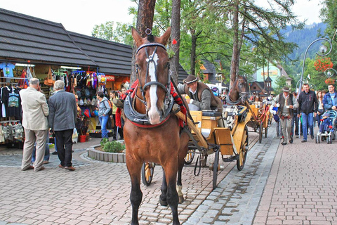 From Krakow: Zakopane Private Day Tour By Luxurious SUV