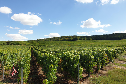 Private wine tour to Bordeaux - 2 days - From Paris