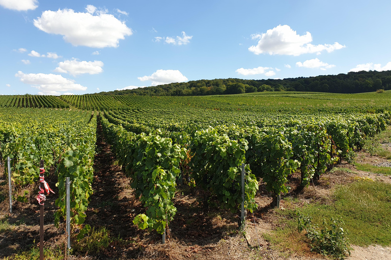 Visite privée de Bordeaux - 2 jours - Au départ de Paris