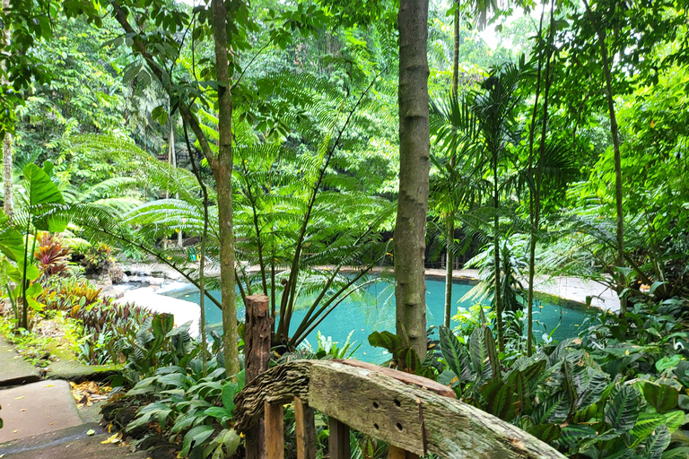 Hidden Valley Springs | Lunch | Taal Volcano Viewing (2in1)