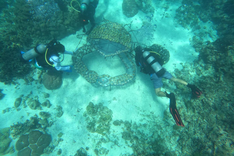 Cartagena: Natur- und Ökosystemwiederherstellung auf den Rosario-Inseln...