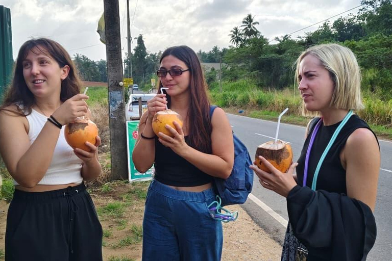 Sigiriya: Transfer to Colombo with Free Wood & Herbal Stops