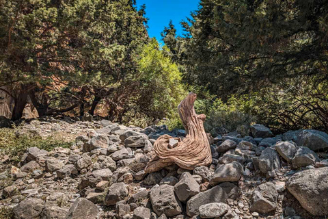 From Heraklion: Imbros Gorge and Libyan Sea Guided Day Trip Pickup from Heraklion and Ammoudara