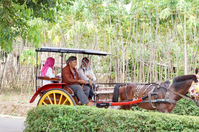 Yogyakarta: Borobudur and Candirejo Village Tour by Dokar
