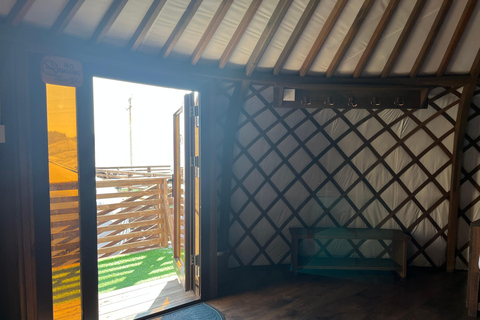 Terelj: Premium Mongolian Ger (Yurt) Overnight Experience Chinggis Khaan Statue + Ger
