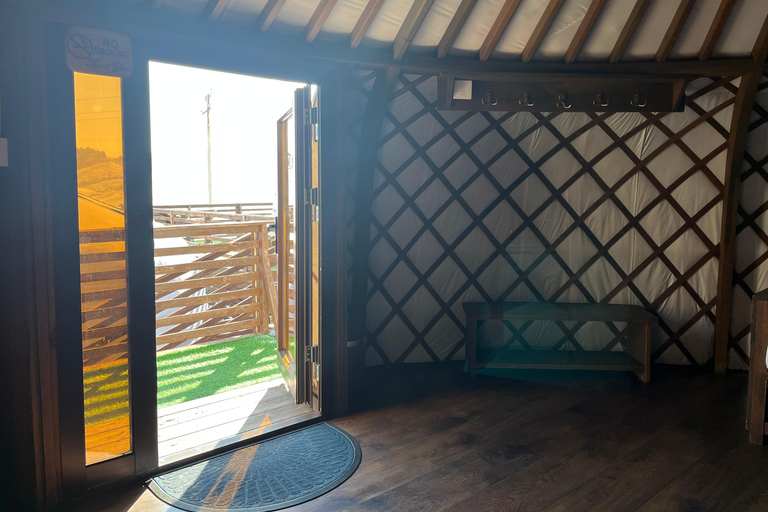 Terelj: Premium Mongolian Ger (Yurt) Overnight Experience Chinggis Khaan Statue + Ger
