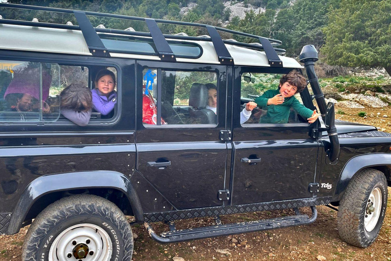 From Cala Gonone: Tiscali Nuragic Village Trekking Tour