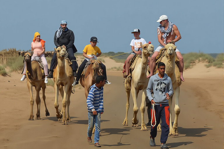 Sharm El Sheikh: Jeep, Quad, Sandboarding & Stargazing