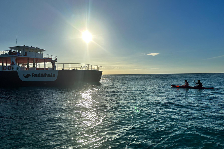 Red Whale | Boracay: Cruise, Music, and Water Activities