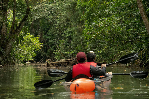 Excursión en pereza y kayak