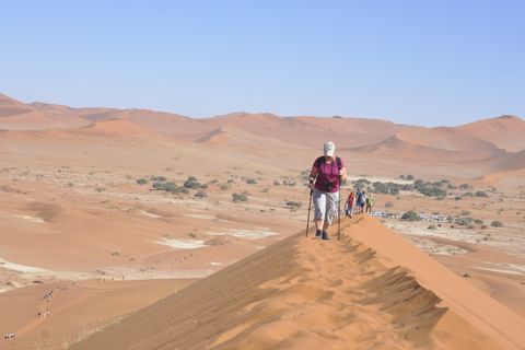 From Swakopmund: 2-Day Sossusvlei Scenic Journey (1 Night)