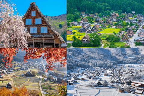 Nagoya: Shirakawa-go, Hida Takayama Day Tour
