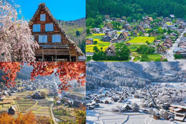 Nagoya: Shirakawa-go, Hida Takayama Day Tour