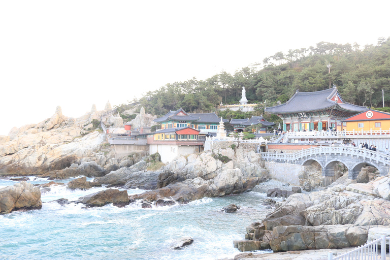 customized private Busan tour with licensed agency and guide