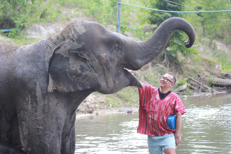 Chiang Mai: Elephant Sanctuary, Waterfall & Bamboo Rafting