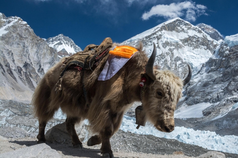 Von Kathmandu Everest Base Camp Trek 11 Nächte 12 Tage