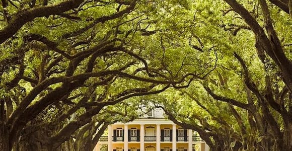 Von New Orleans aus: Oak Alley oder Laura Plantation Tour