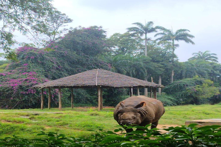 Bangalore, Mysore & Ooty Multi‑Day Tour Bangalore, Mysore & Ooty Guided Tour with 4*Star Hotel