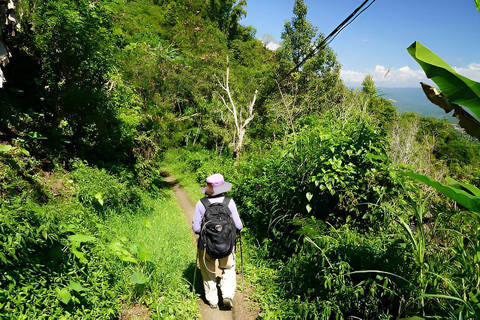 Munduk Waterfall Guided Trekking with Local Guide MEET AT MEETING POINT