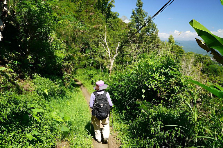 Munduk Waterfall Guided Trekking with Local Guide MEET AT MEETING POINT
