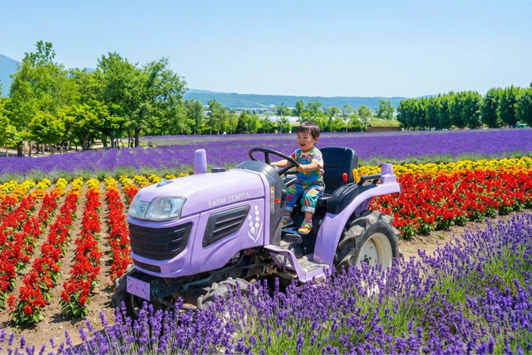 Summer Hokkaido: Furano lavender, Blue Pond,Shikisai-no-Oka 7:50 am meet at Odori Park subway station exit 31