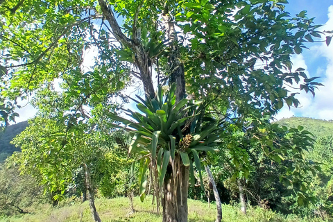 Lethe Mountain Valley Hiking