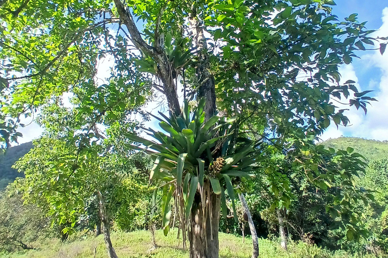 Lethe Mountain Valley Hiking