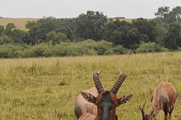 Nairobi: Lake Naivasha Boat Ride and Crescent Island Tour