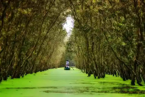 Von Ho Chi Minh aus: Mekong Delta 3 Tage 2 Nächte