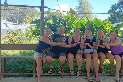 Puerto Plata: 7 Damajagua Waterfalls and Ziplines with Lunch