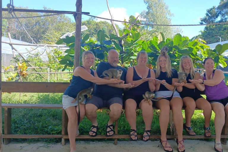 Puerto Plata: 7 Damajagua Waterfalls and Ziplines with Lunch