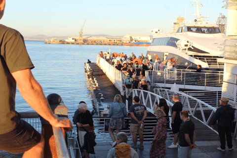 Ciudad del Cabo: Ticket de entrada al ferry de la Isla Robben más tour guiado