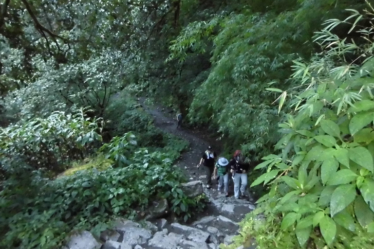 Langtang Valley Trek with Kyanjin Ri & Tsergo Ri