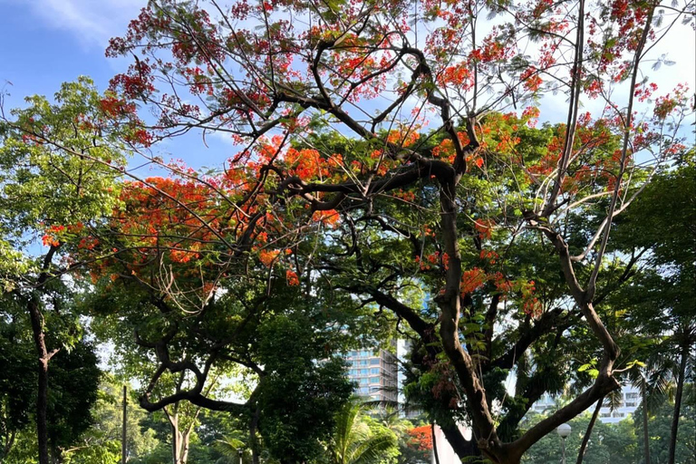 Bangkok: Ochtendyoga voor alle niveaus in Lumphini ParkBangkok: Yoga voor alle niveaus in het Lumphini Park