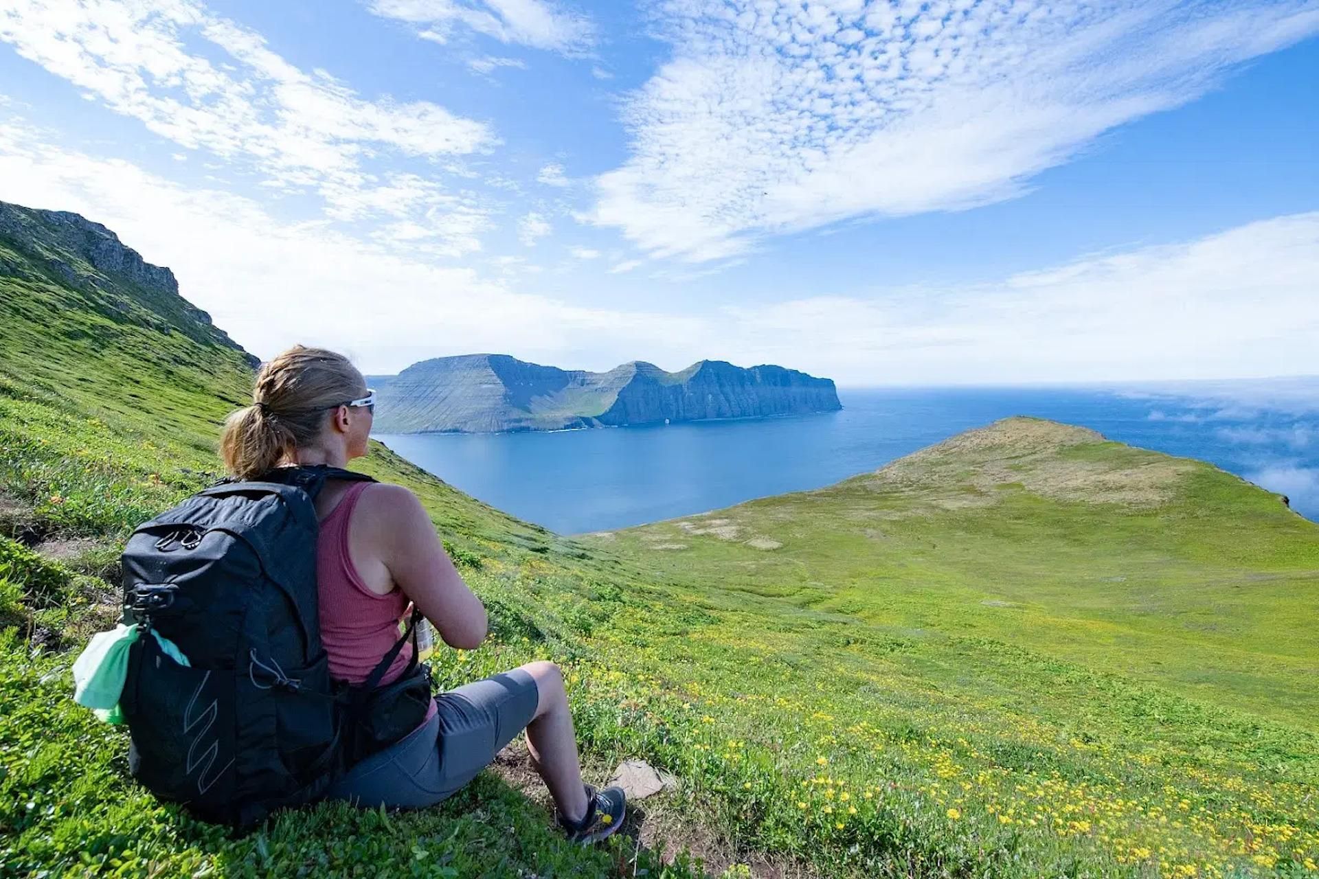 Ísafjörður: Geführte Wanderung durch das Naturschutzgebiet Hornstrandir