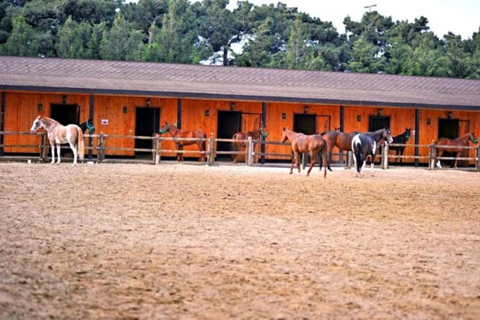 Visite d'une jounée d'aventure à Bakou