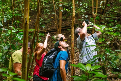 Big Island: Ganztägige Wanderung und Vogelbeobachtungstour mit Mittagessen