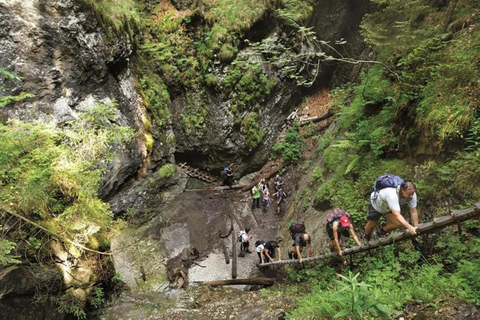 from Zakopane: Slovak Paradise National Park Guided Hike