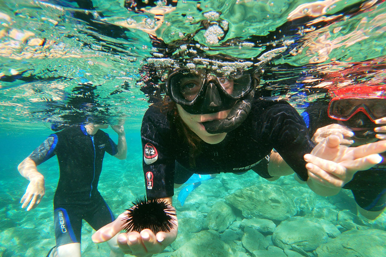 Heraklion: Beginner-Friendly Snorkeling Trip