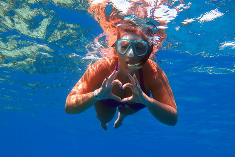 Sharm: Ras Mohamed & White Island Snorkeling, Diving & Lunch Option: Snorkeling with 1 Dive